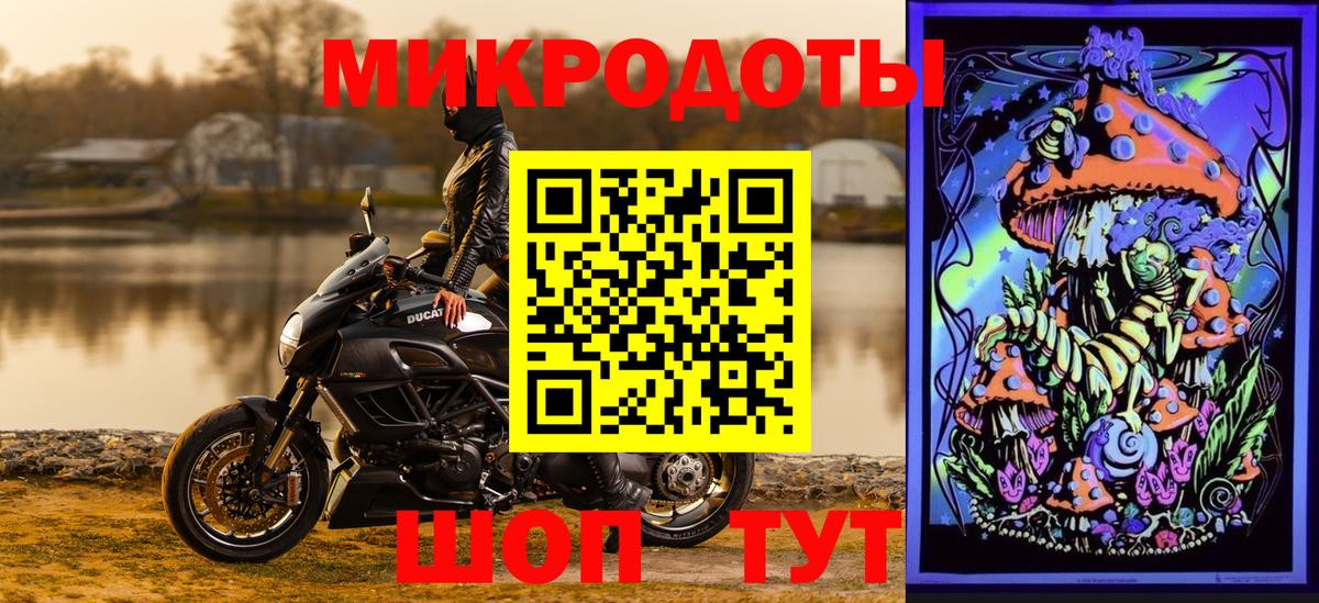 Псилоцибиновые грибы Cubensis Махачкала