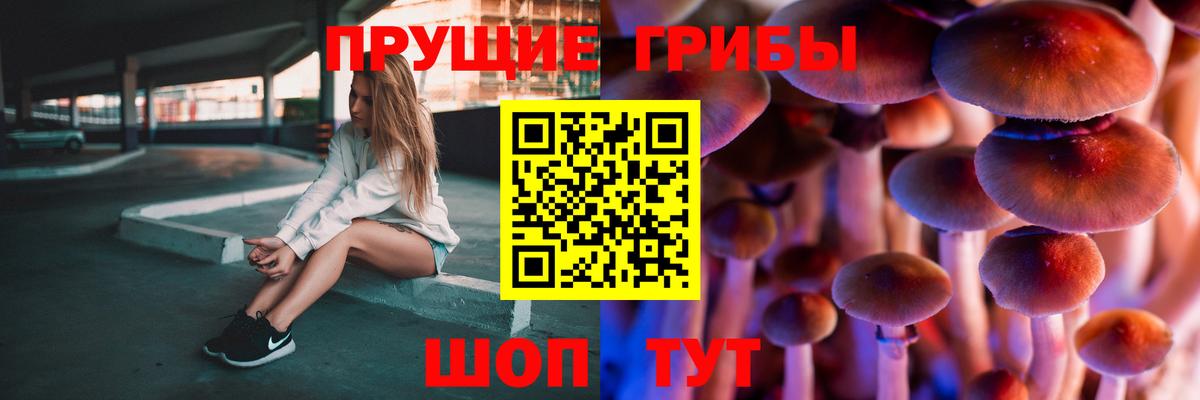 Махачкала  Псилоцибиновые грибы MAGIC MUSHROOMS  Вход с VPN 