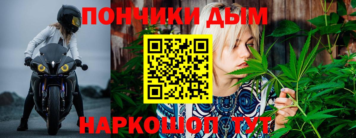 Канабис конопля Махачкала